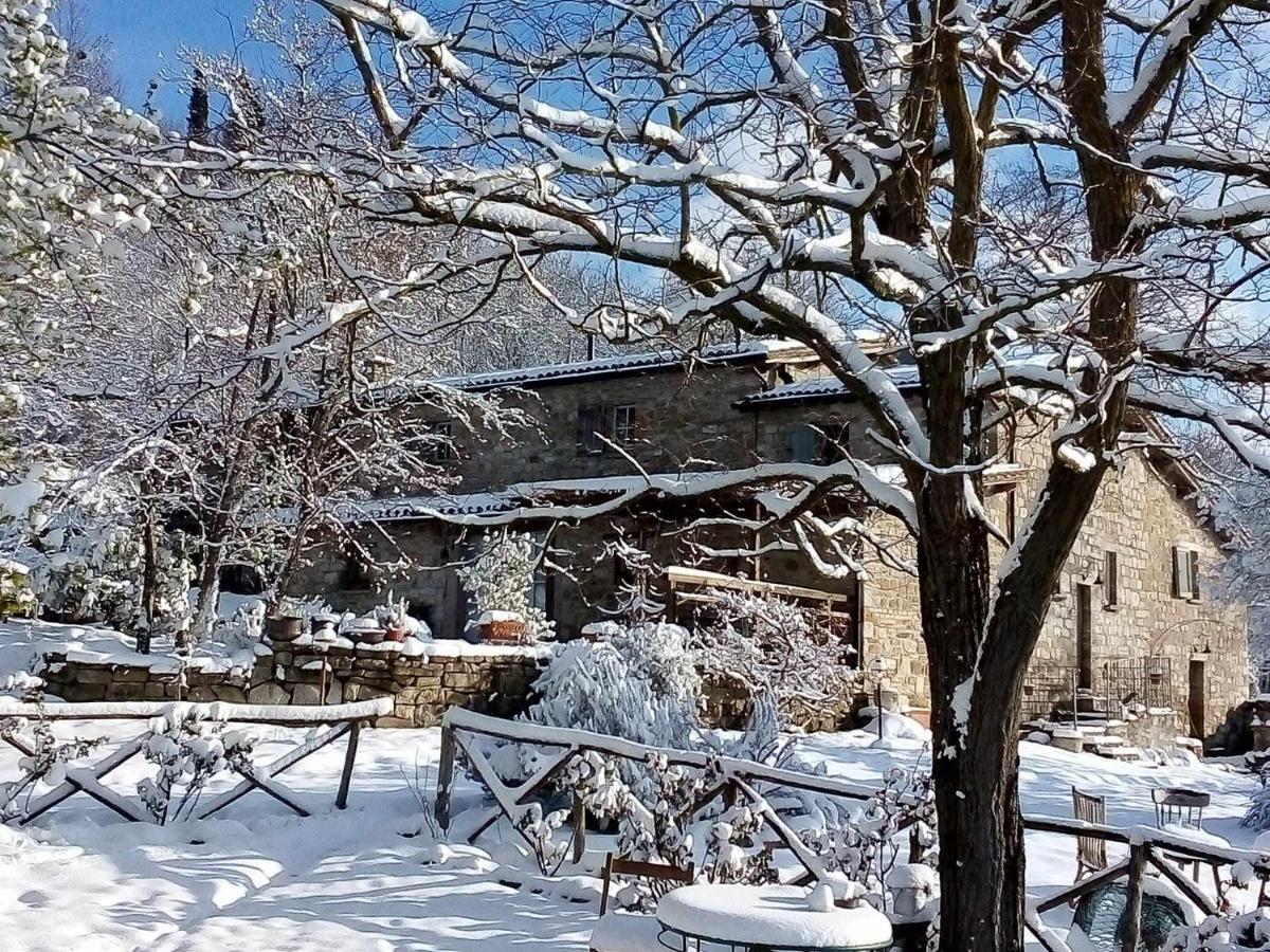 Agriturismo Montesalce Gubbio Dış mekan fotoğraf