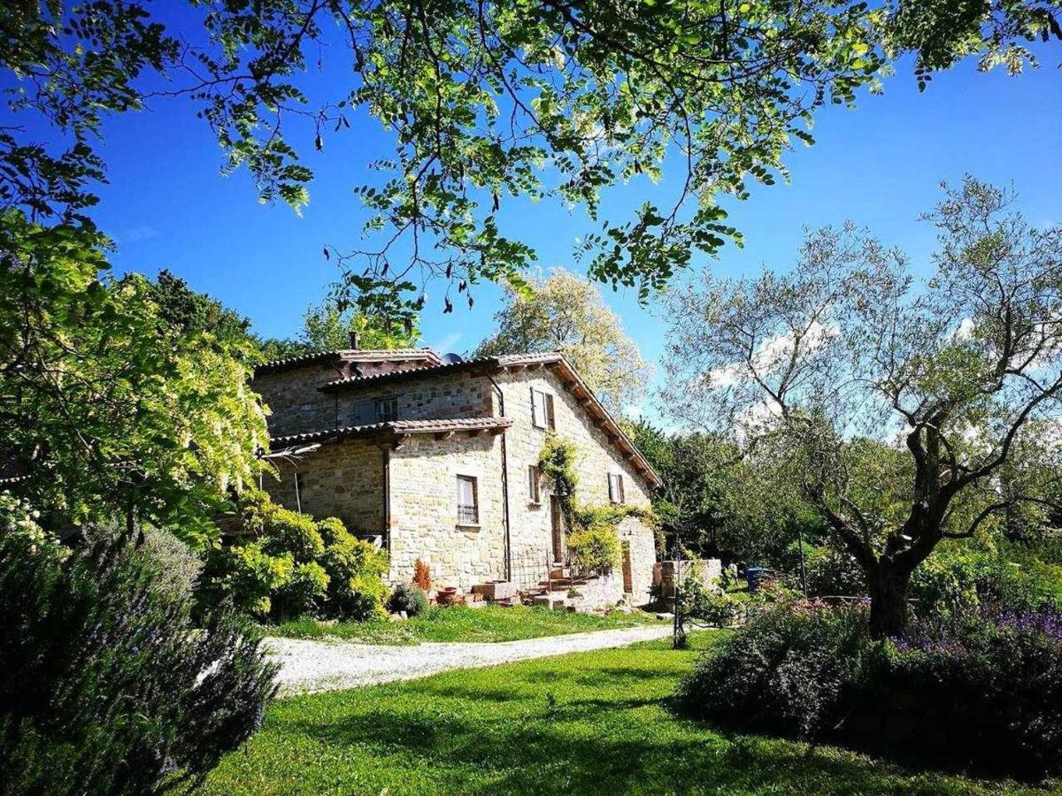 Agriturismo Montesalce Gubbio Dış mekan fotoğraf