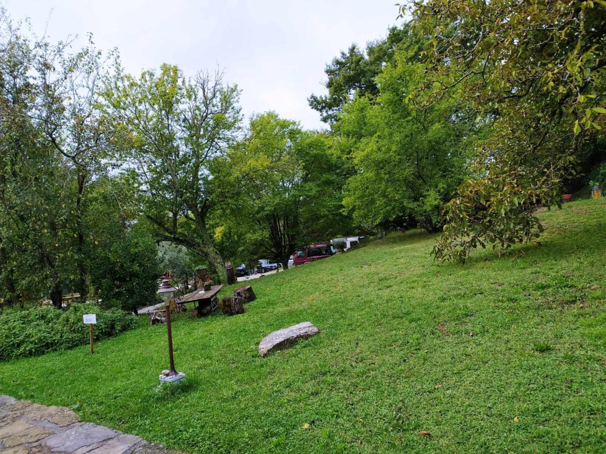 Agriturismo Montesalce Gubbio Dış mekan fotoğraf