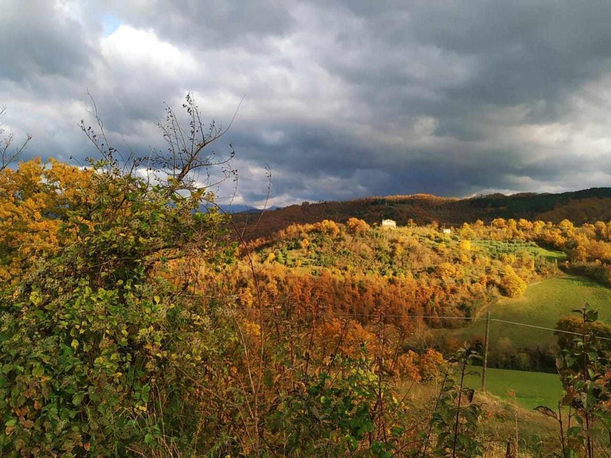 Agriturismo Montesalce Gubbio Dış mekan fotoğraf