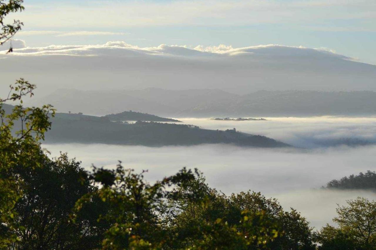 Agriturismo Montesalce Gubbio Dış mekan fotoğraf