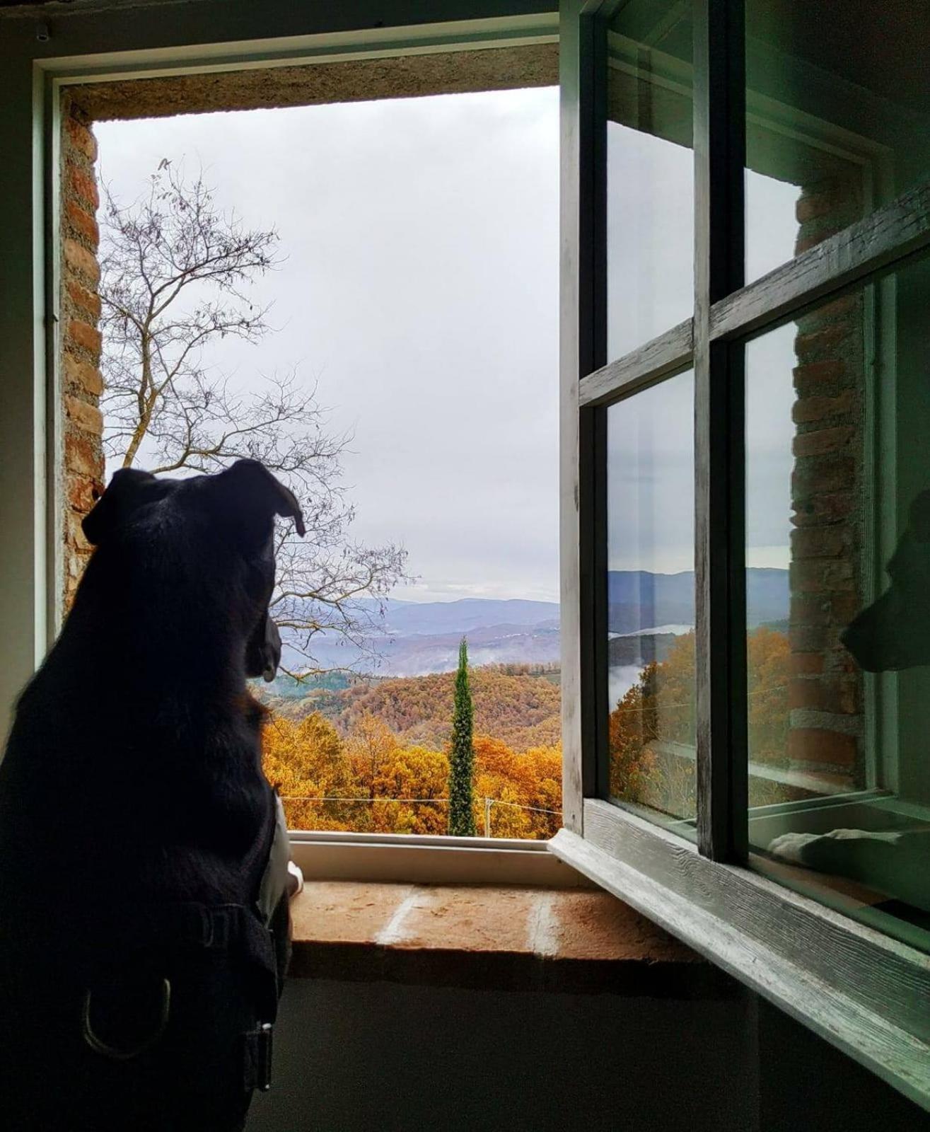 Agriturismo Montesalce Gubbio Dış mekan fotoğraf