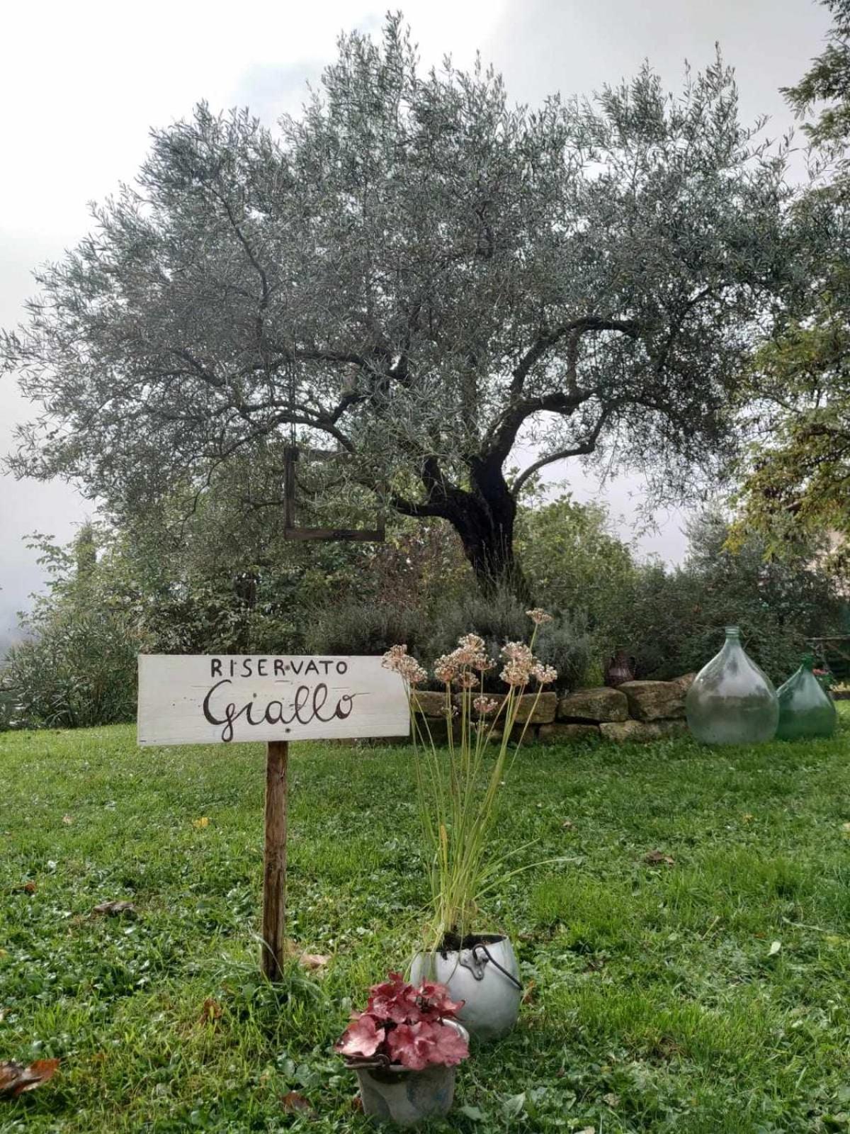 Agriturismo Montesalce Gubbio Dış mekan fotoğraf